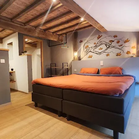 La Ferme Aux Bois 3* Houffalize